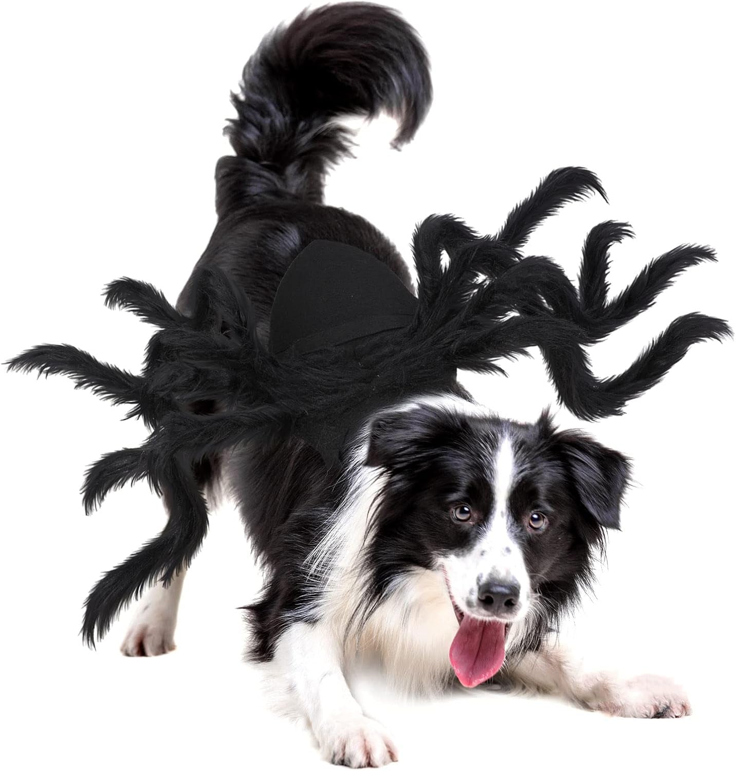 Halloween Pet Costume Spider Cosplay Apparel Dog Cat Spider Costume for Party Costume for Small Medium Dog Costume,Large
