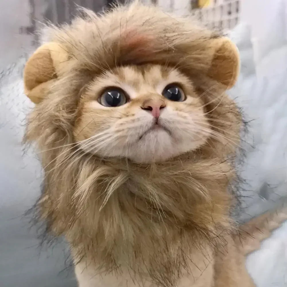 Decorative Pet Hat Soft Lightweight Lion-Style Hats Breathable Pet Hood Adorable Pet Photography Props Cat Costume Cosplay