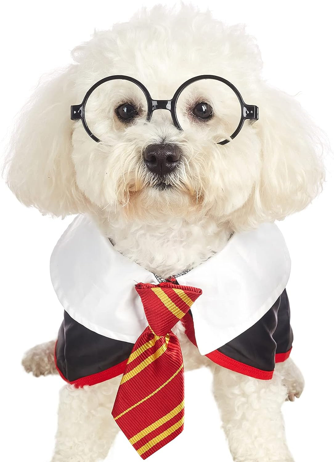Pet Halloween Dog Shirts Funny Cat Wizard Costume Cute Apparel Soft Clothes with Glasses (X-Large,Neck:21")