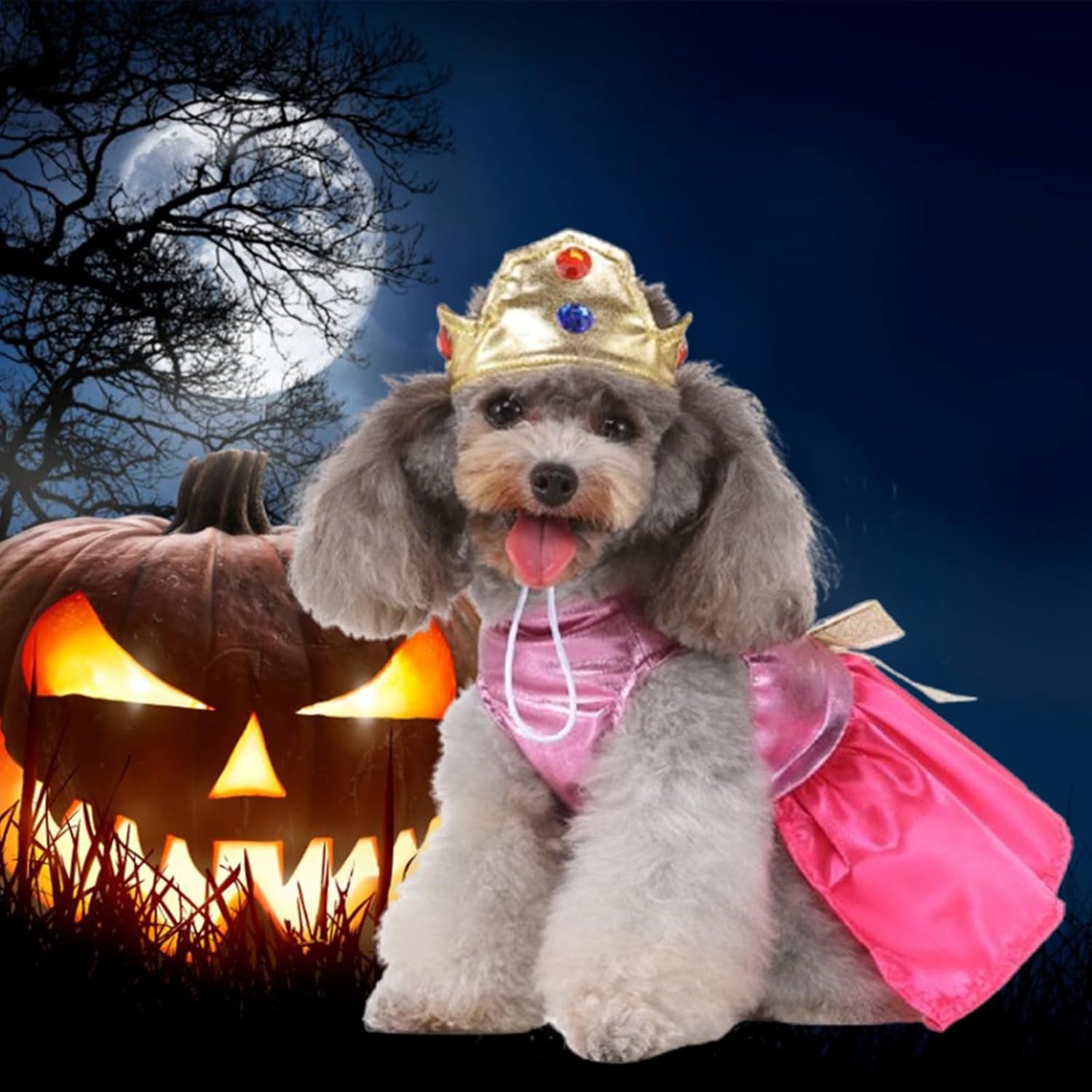 Princess Dog Costume Pink Princess Dress, Cute Queen Dog Halloween Costume Dogs Cosplay Costumes Fashion Dress for Puppy Small Medium Dogs Special Events Funny Photo Props Accessories