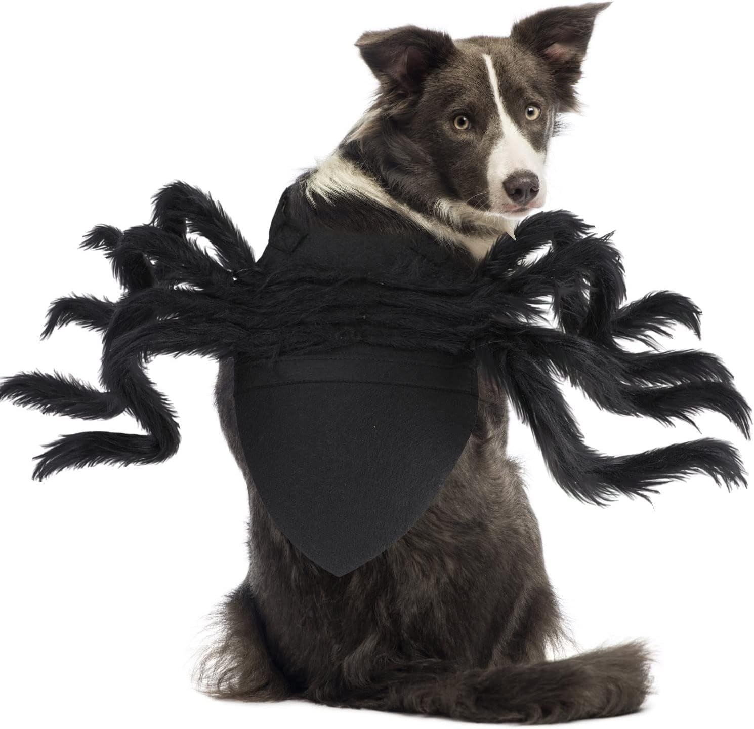 Halloween Pet Costume Spider Cosplay Apparel Dog Cat Spider Costume for Party Costume for Small Medium Dog Costume,Large