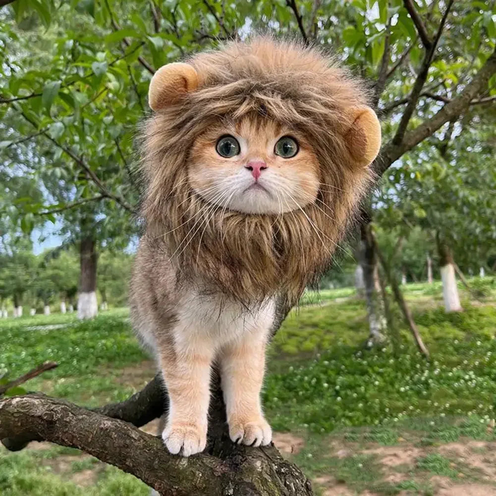 Decorative Pet Hat Soft Lightweight Lion-Style Hats Breathable Pet Hood Adorable Pet Photography Props Cat Costume Cosplay