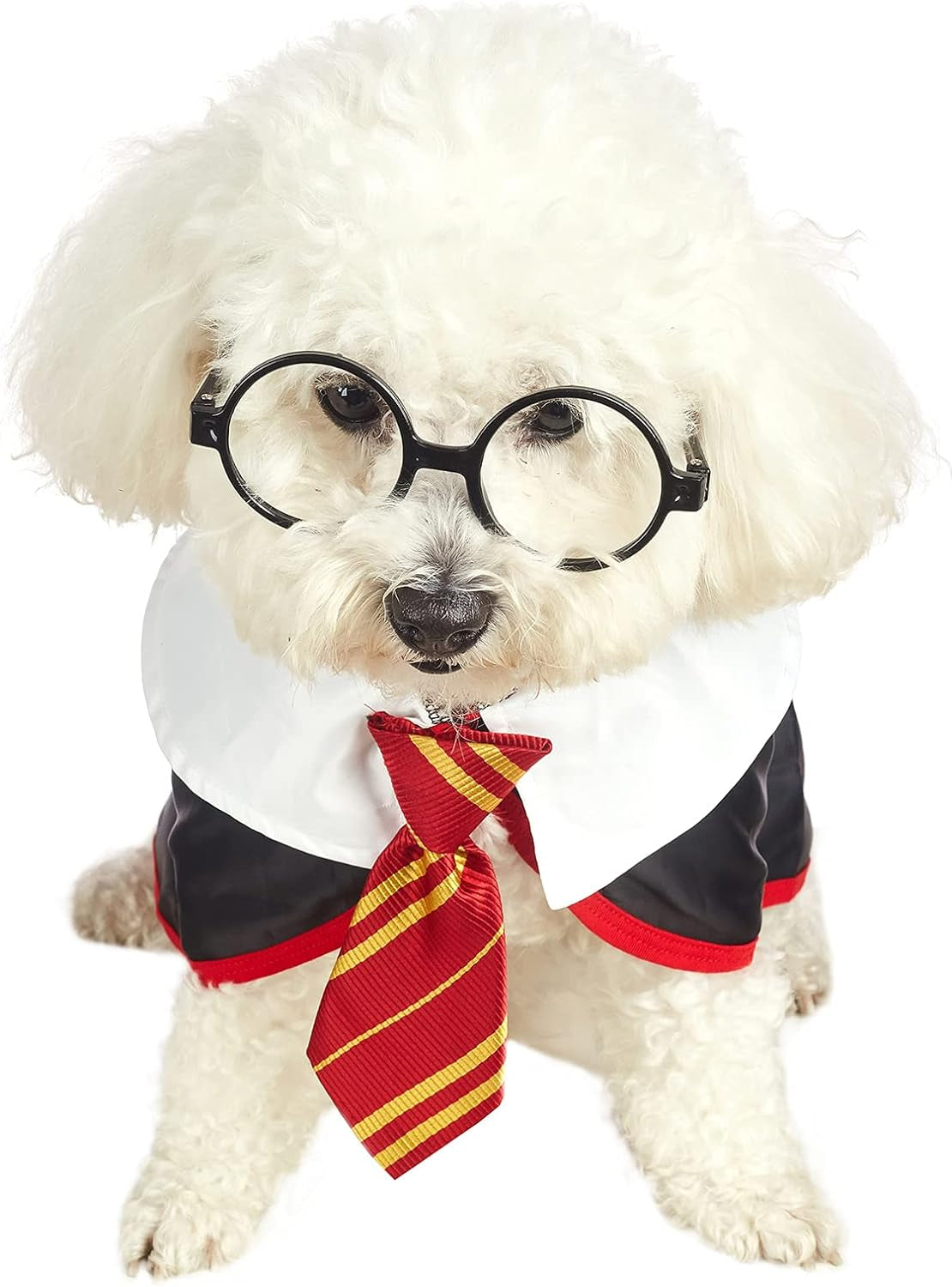Pet Halloween Dog Shirts Funny Cat Wizard Costume Cute Apparel Soft Clothes with Glasses (X-Large,Neck:21")