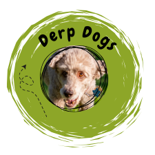 Derp Dogs